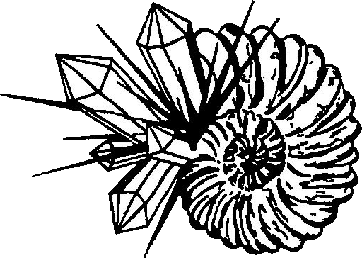 Logo Minéraux et Fossiles 26-07