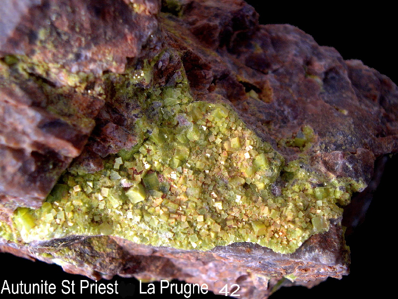 autunite