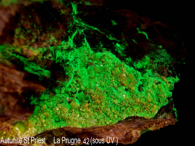 autunite