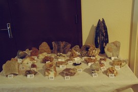 minraux_ou_fossiles