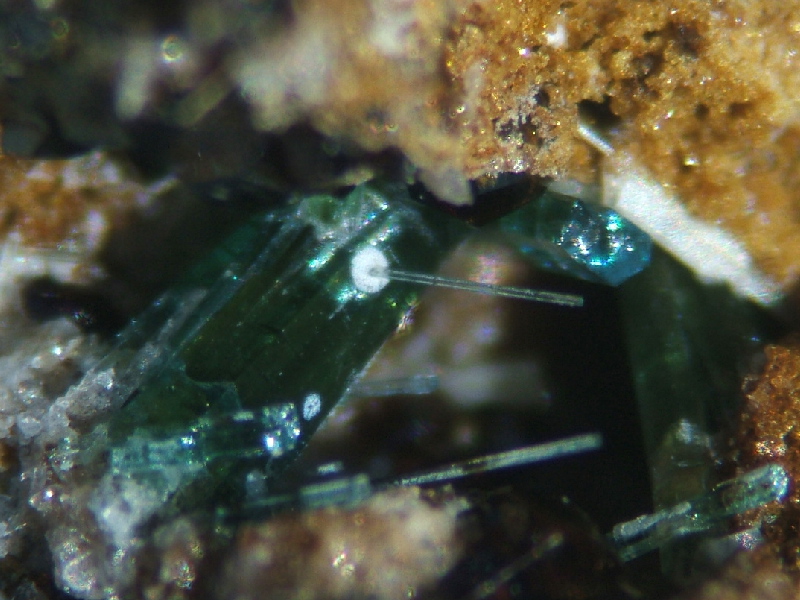 fluorapatite