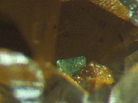zeun�rite