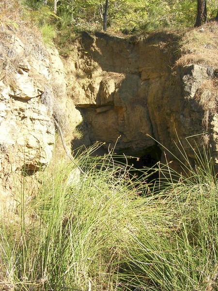 mine