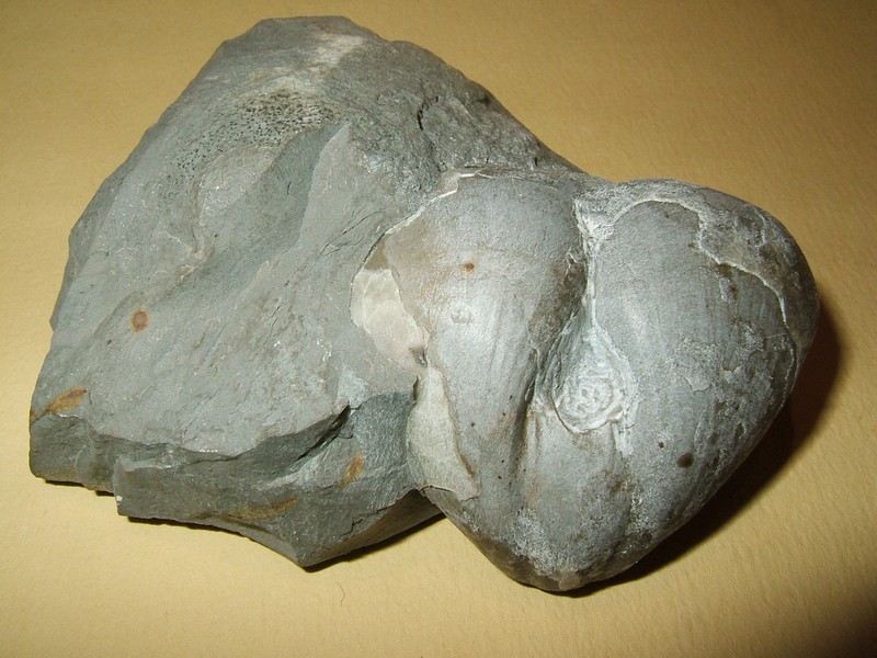 pygope