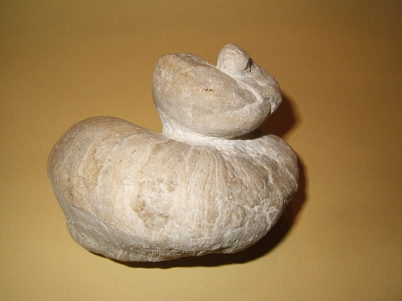 requenia