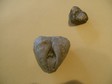 pygope