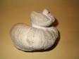 requenia