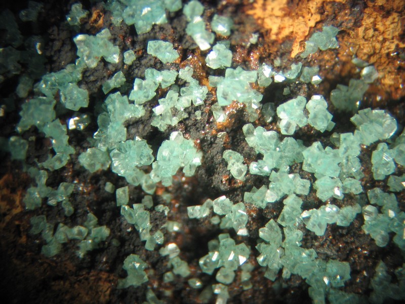 adamite