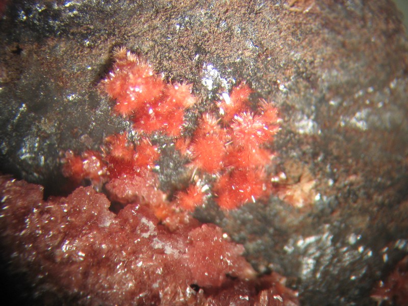 erythrite
