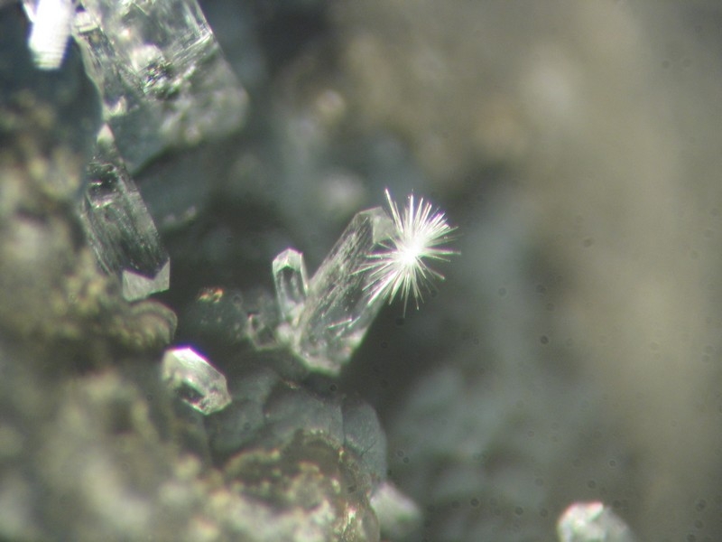 phillipsite