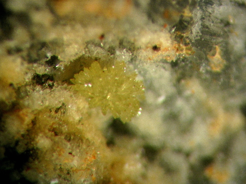 pyromorphite