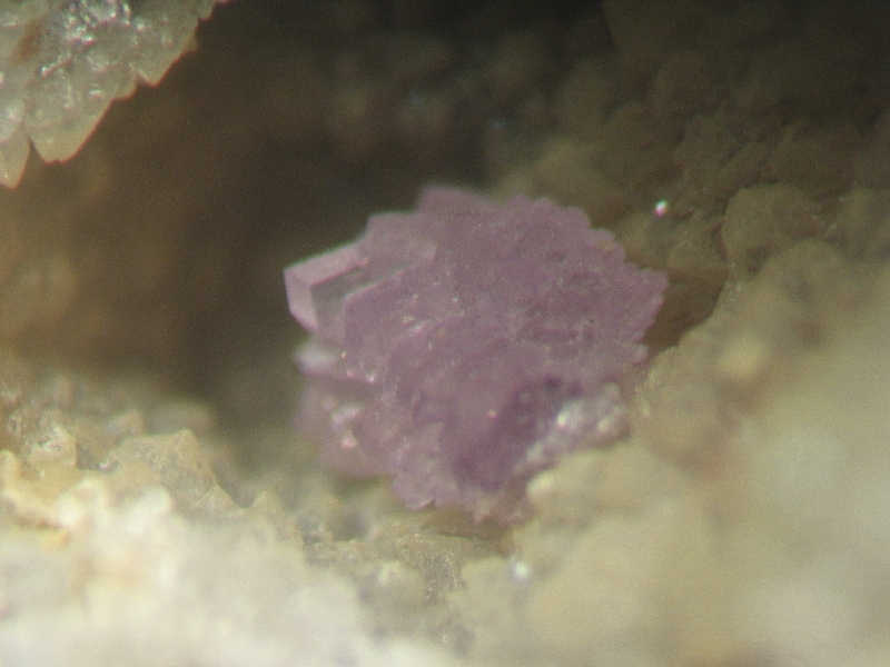 scorodite