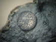 hyalite