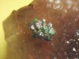 torbernite