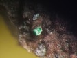 torbernite