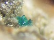 langite