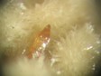 wulfenite