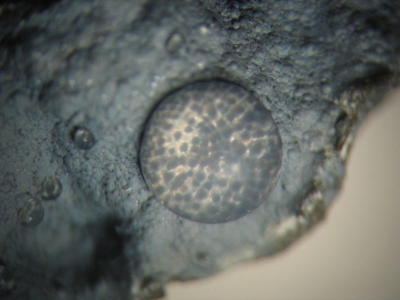 hyalite