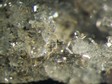 phillipsite