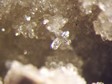m�cle_de_stempel