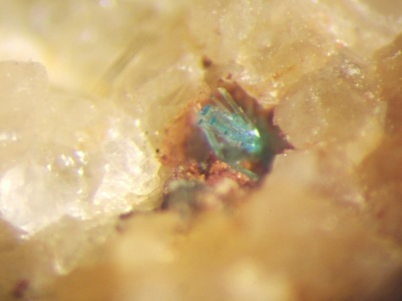 cal�donite