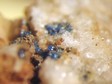 linarite