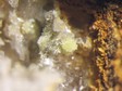pyromorphite