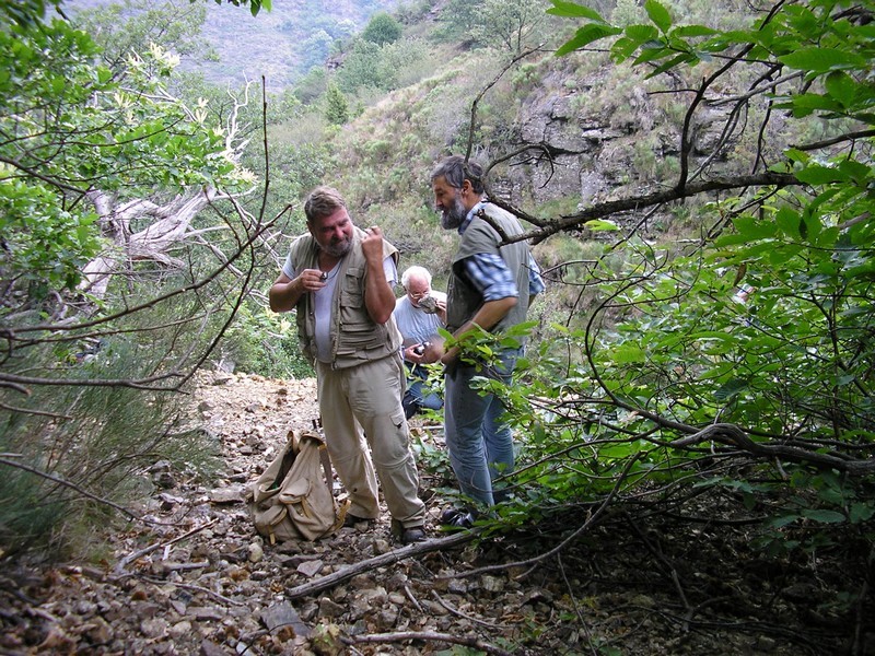 la_descente