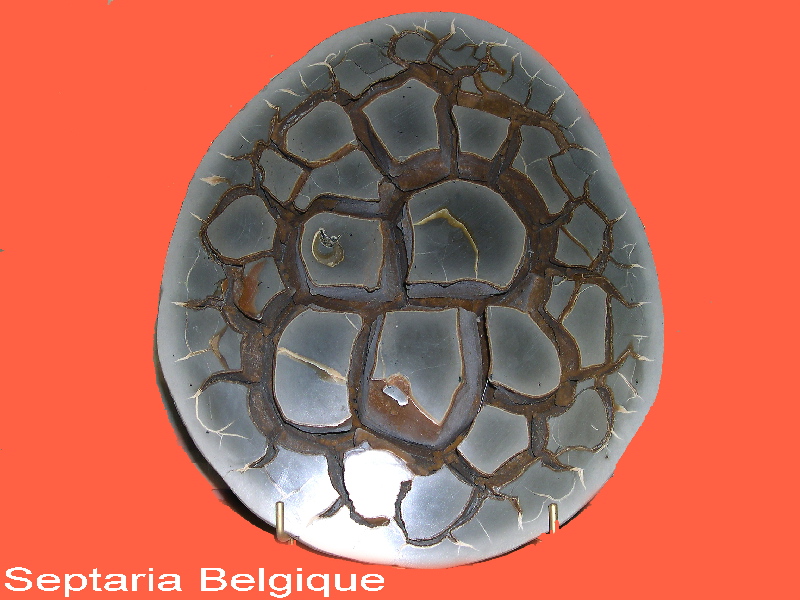 septaria