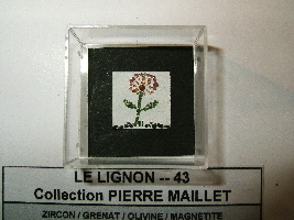 fleur_de_sable