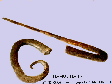 ammonites_d�roul�es