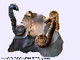 ammonites_d�roul�es