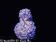 azurite