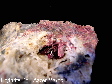 erythrite