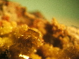 wulfenite/pyromorphite